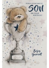 For A Fantastic Son On Your Birthday